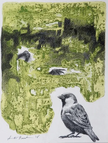 Untitled by Atin Basak - Pen, ink & etching on Paper