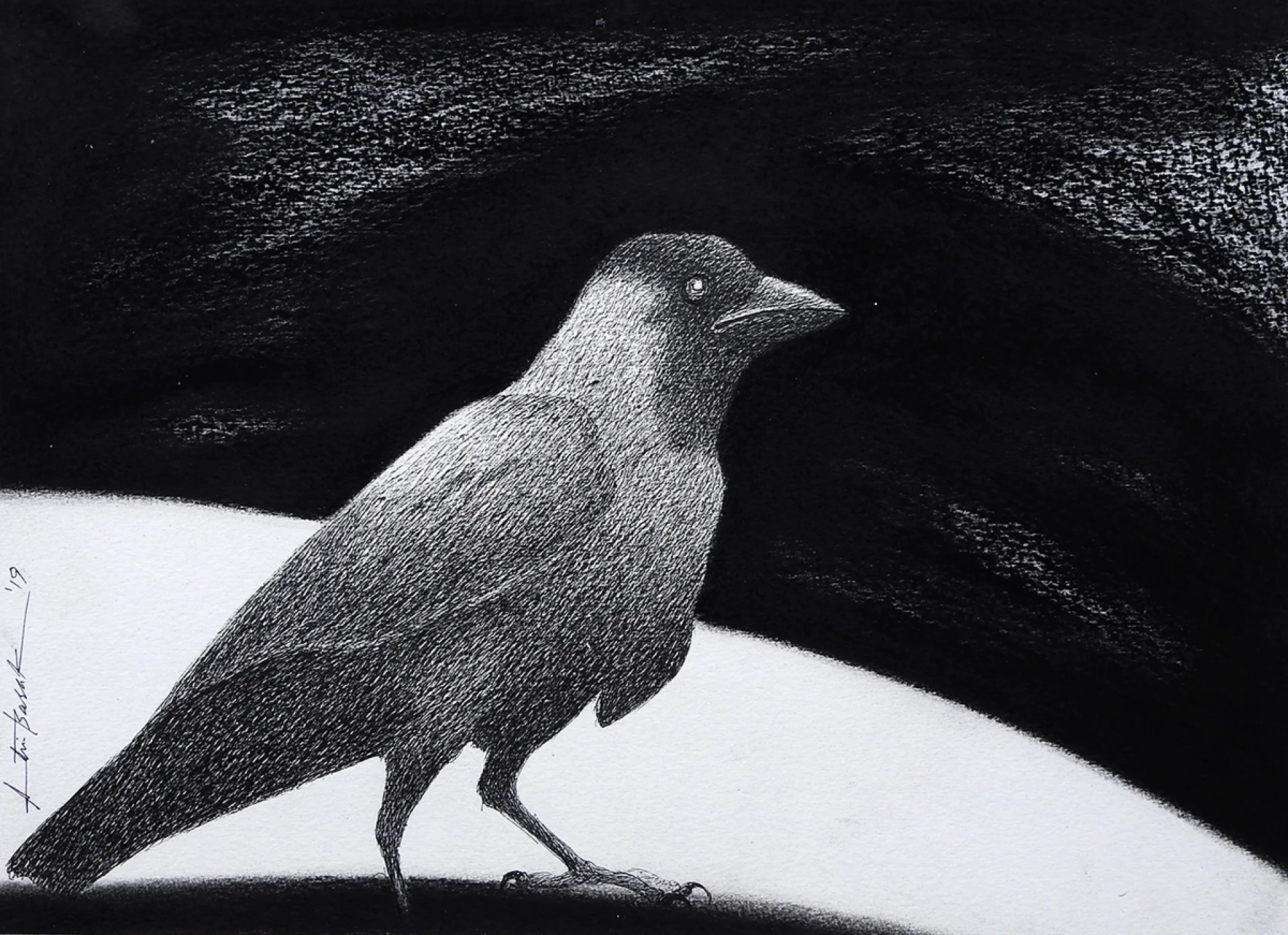 Untitled by Atin Basak - Pen, ink & dry pastel on Paper