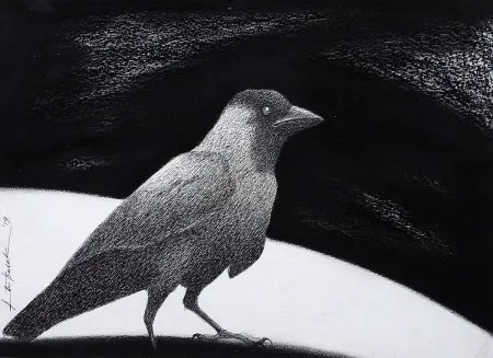 Untitled by Atin Basak - Pen, ink & dry pastel on Paper