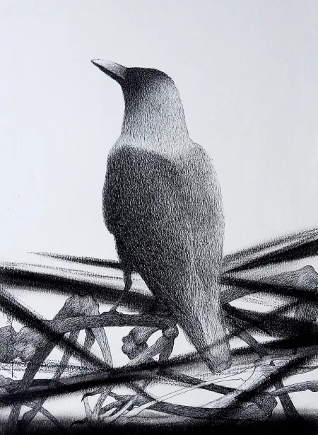 Untitled by Atin Basak - Pen, ink & dry pastel on Paper
