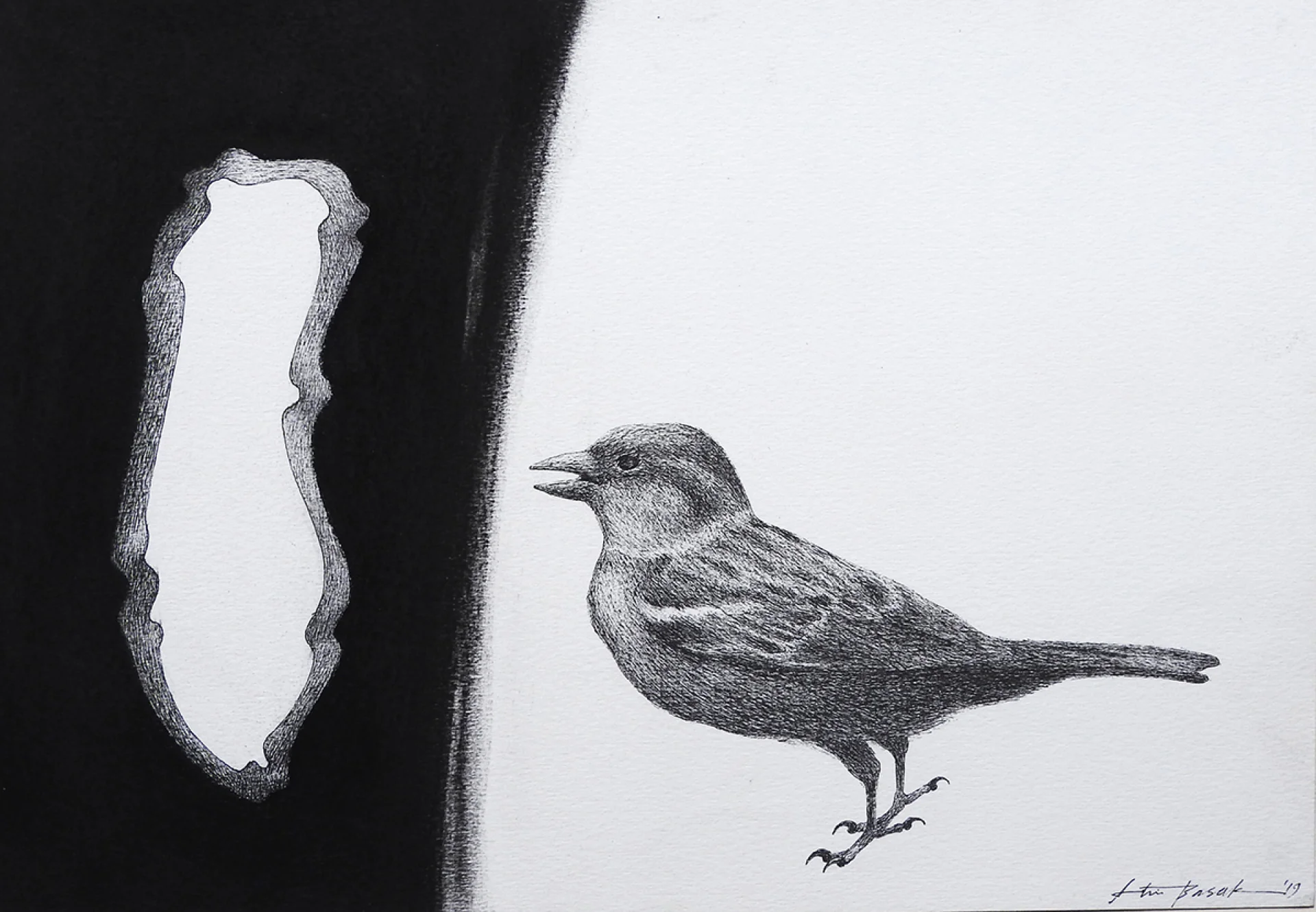 Untitled by Atin Basak - Pen, ink & dry pastel on Paper