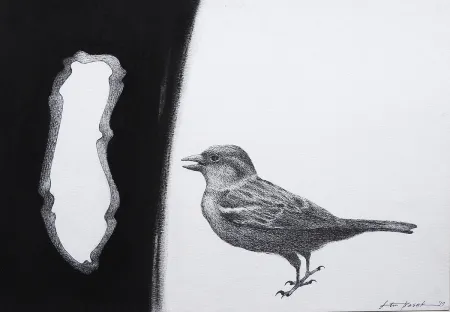 Untitled by Atin Basak - Pen, ink & dry pastel on Paper