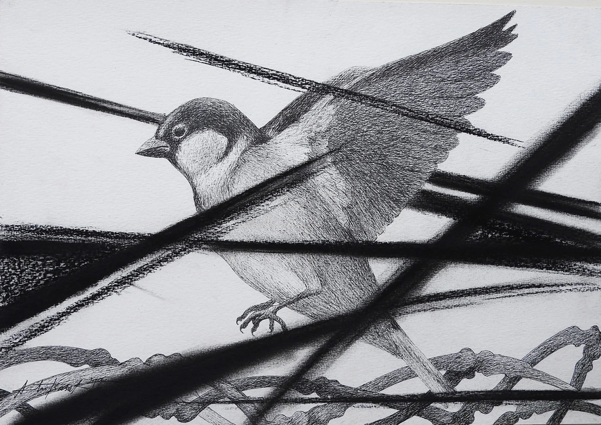 Untitled by Atin Basak - Pen, ink & dry pastel on Paper