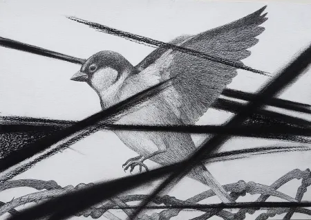 Untitled by Atin Basak - Pen, ink & dry pastel on Paper