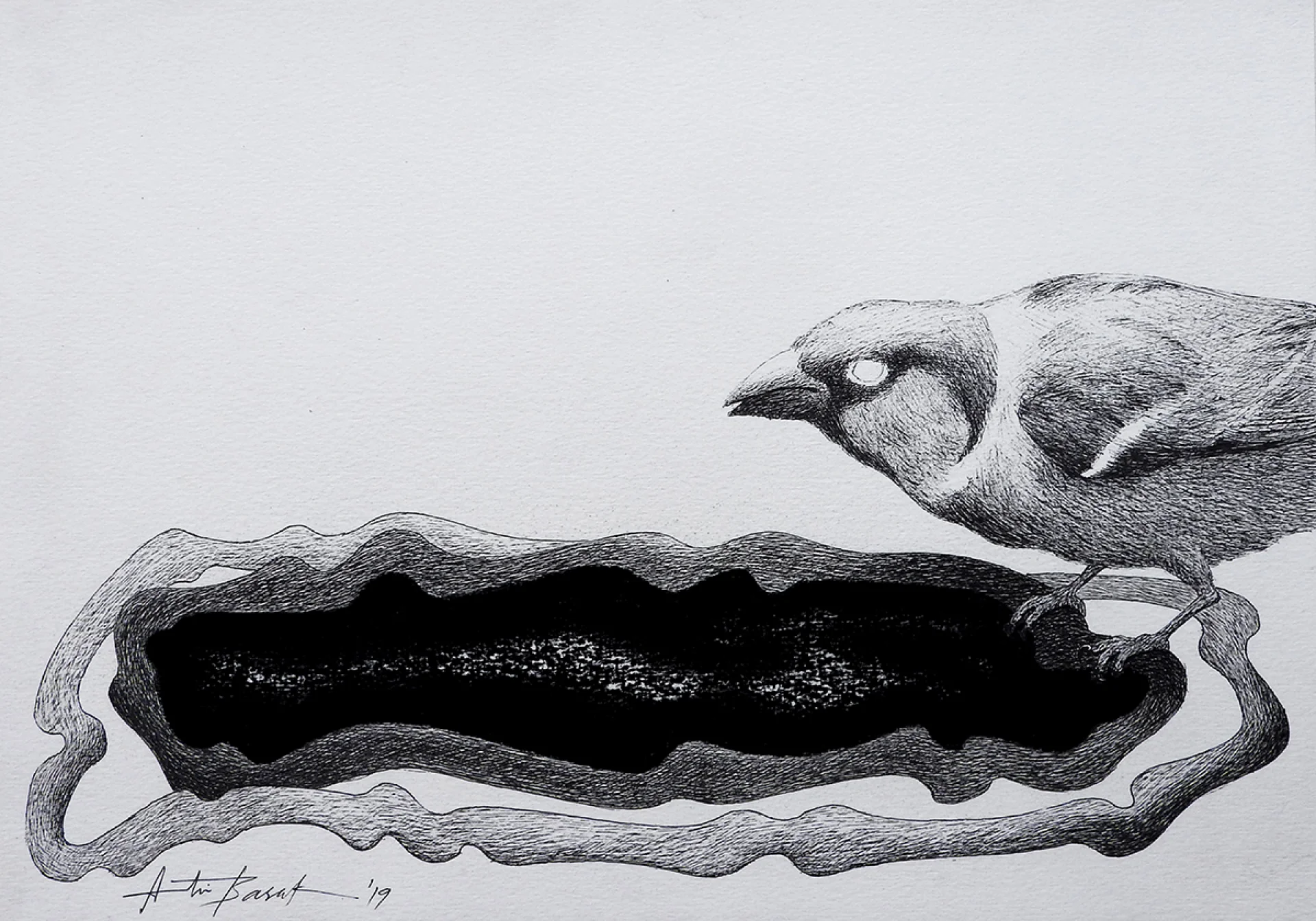 Untitled by Atin Basak - Pen, ink & dry pastel on Paper