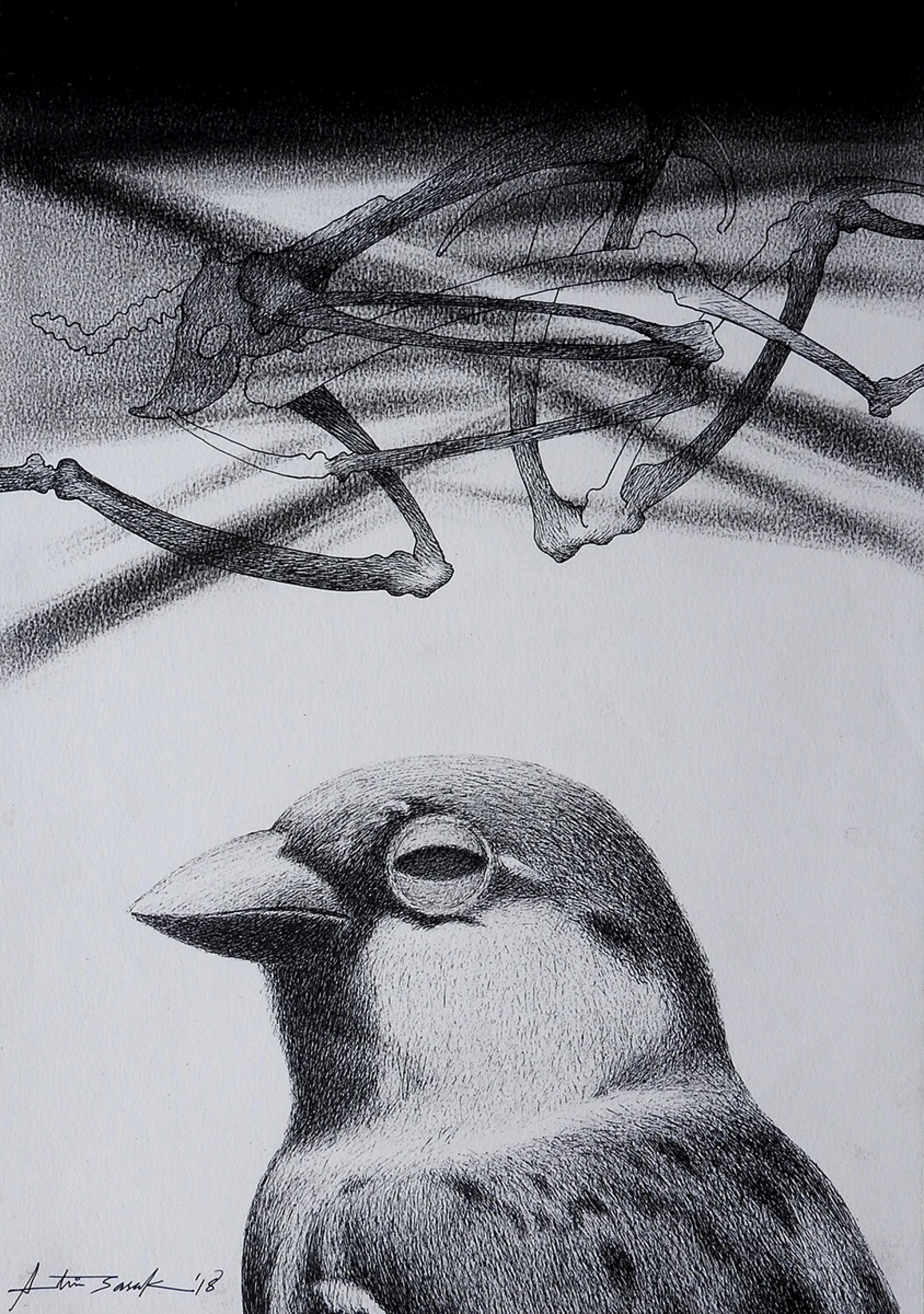 Untitled by Atin Basak - Pen, ink & dry pastel on Paper