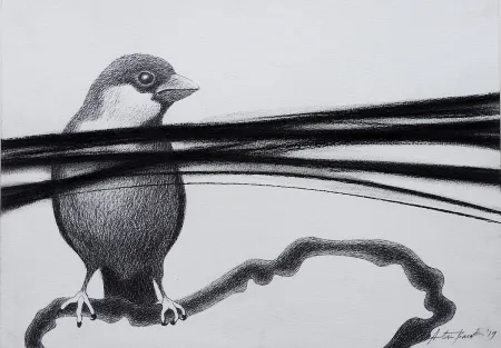 Untitled by Atin Basak - Pen, ink & dry pastel on Paper