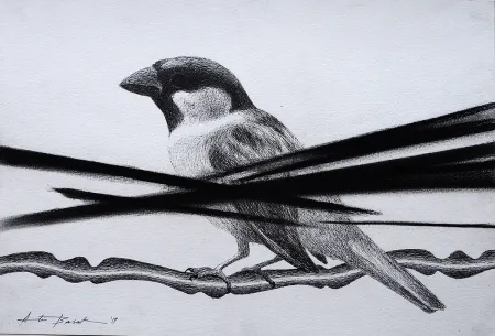 Untitled by Atin Basak - Pen, ink & dry pastel on Paper