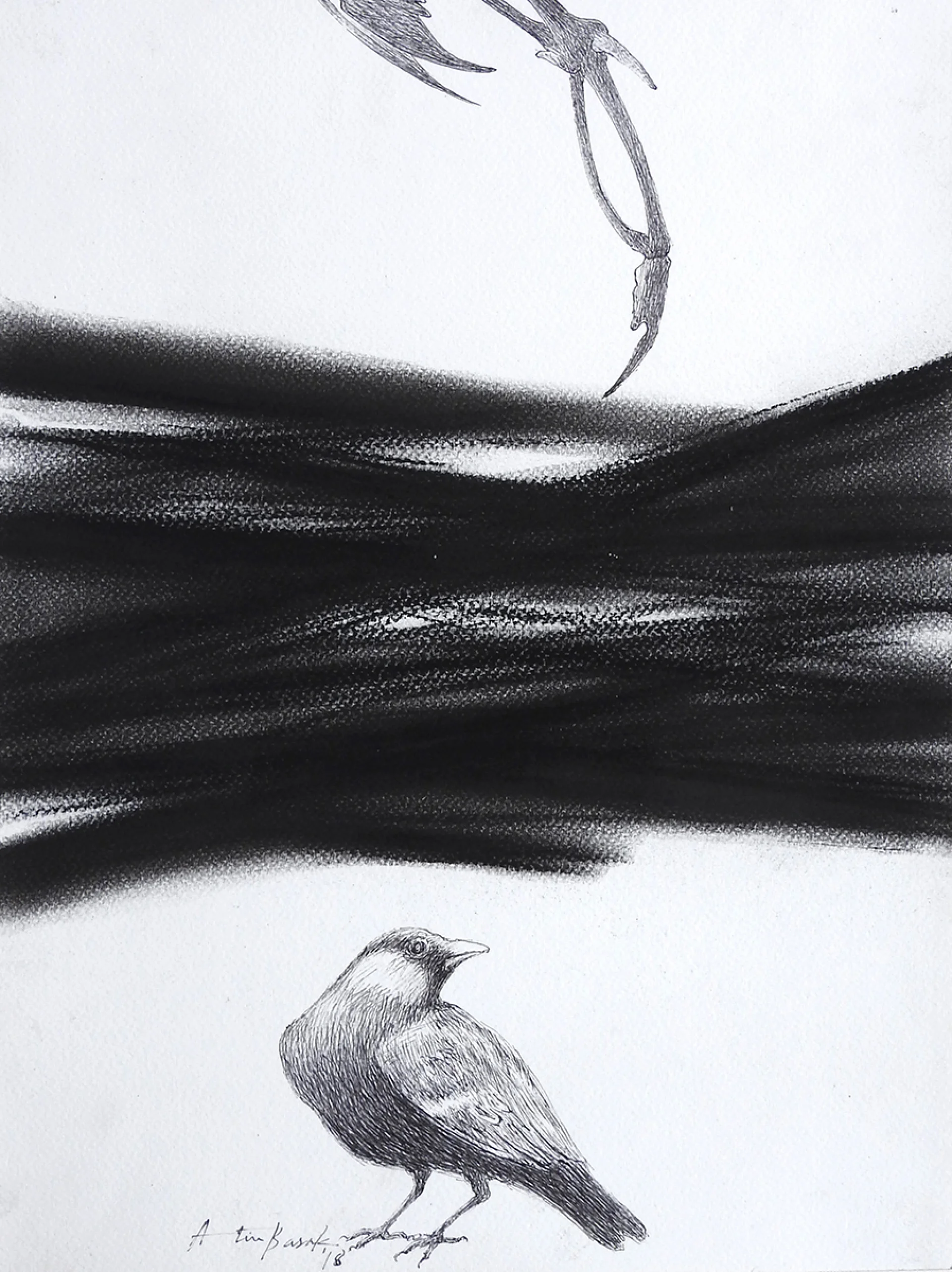 Untitled by Atin Basak - Pen, ink & dry pastel on Paper