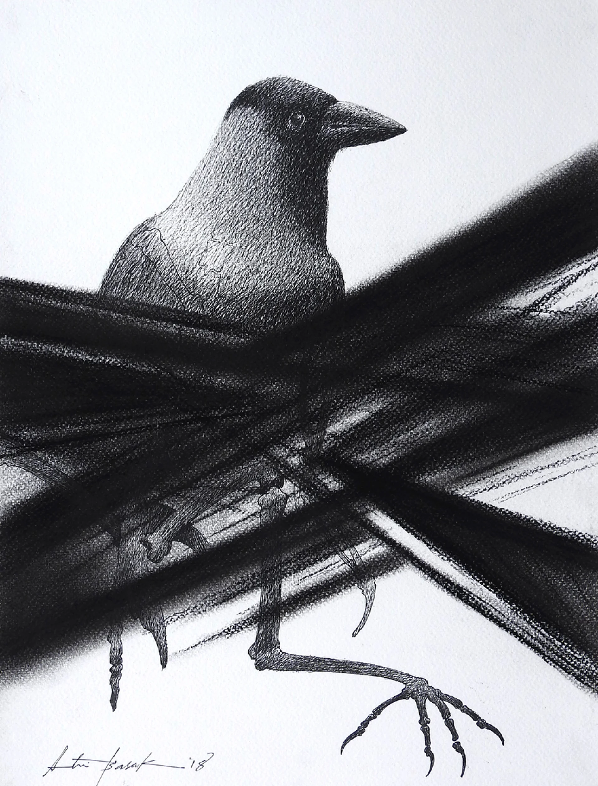 Untitled by Atin Basak - Pen, ink & dry pastel on Paper