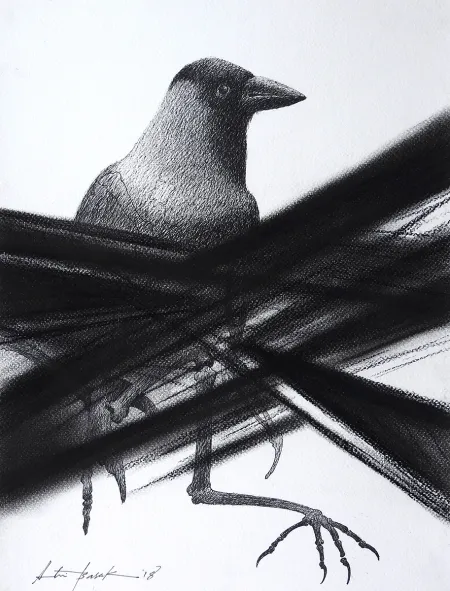 Untitled by Atin Basak - Pen, ink & dry pastel on Paper