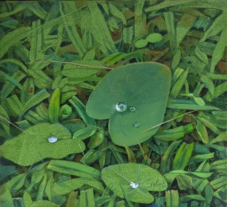 Kachupata by Biraj Kumar Paul - Acrylic on Canvas