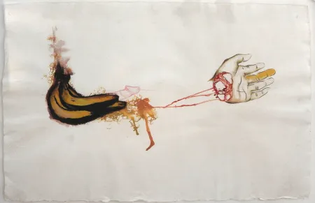 Untitled(Banana) by Mithu Sen - Mixed Media on Paper