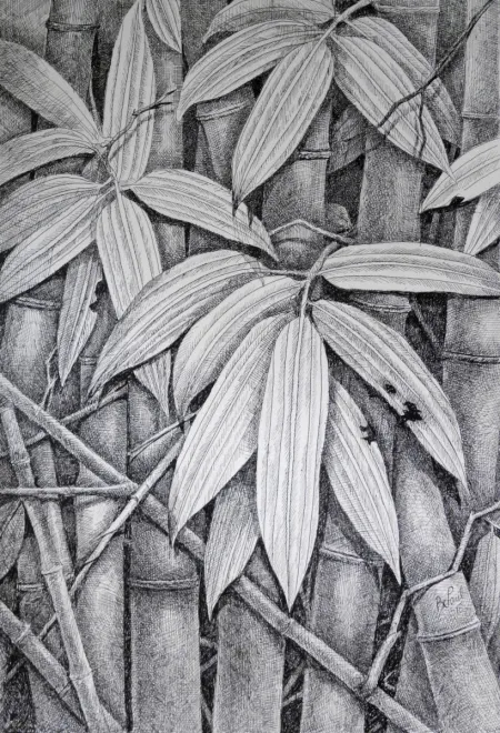 Untitled by Biraj Kumar Paul - Pencil Drawing on Paper