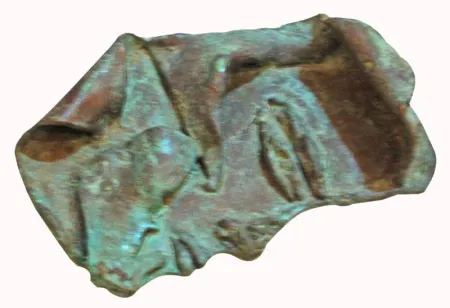 Face by Jayashree Chakravarty - Bronze Sculpture