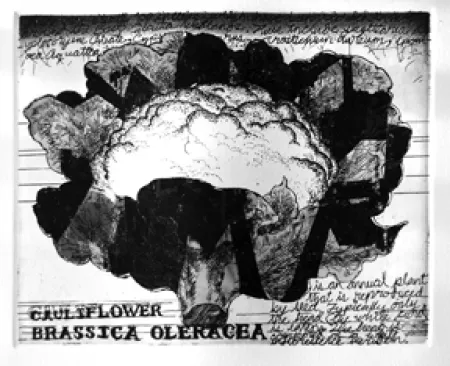 Untitled by Chhatrapati Dutta - Etching